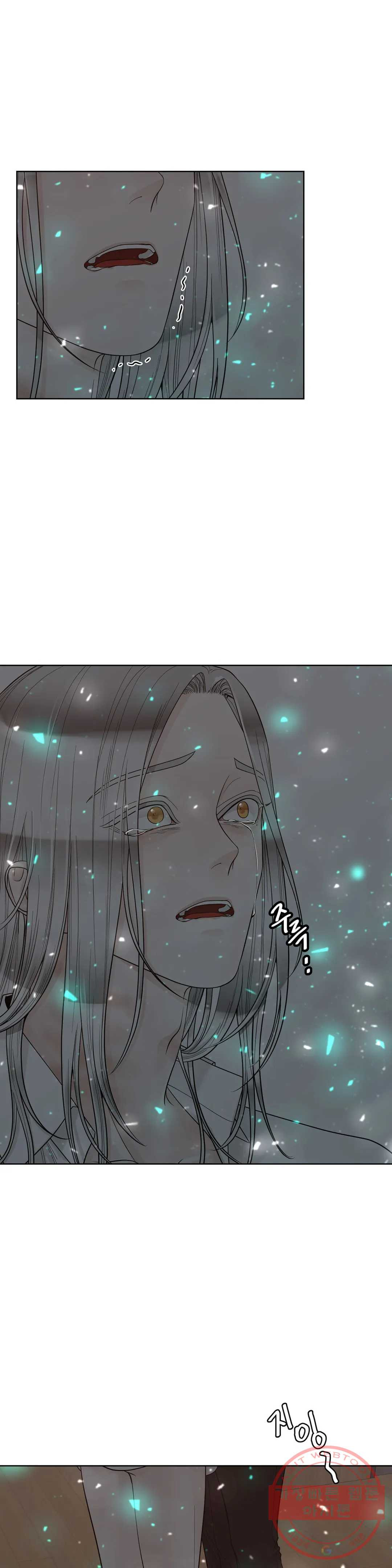 1635620463621ci18mewxmvo.jpeg