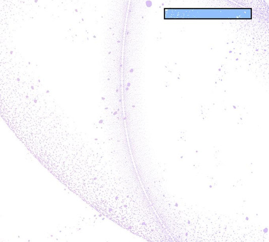1637461109412vcrjye7qhdr.jpeg
