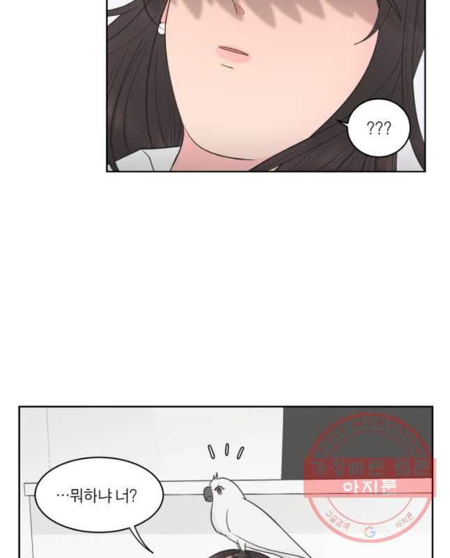 1636414380574aoy2y0yj9ol.jpeg