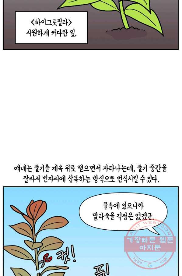 1640846898059myfcalbysih.jpeg