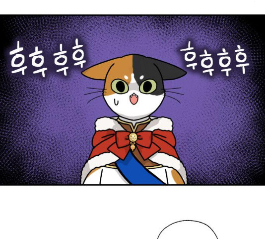 1628580522071.jpeg