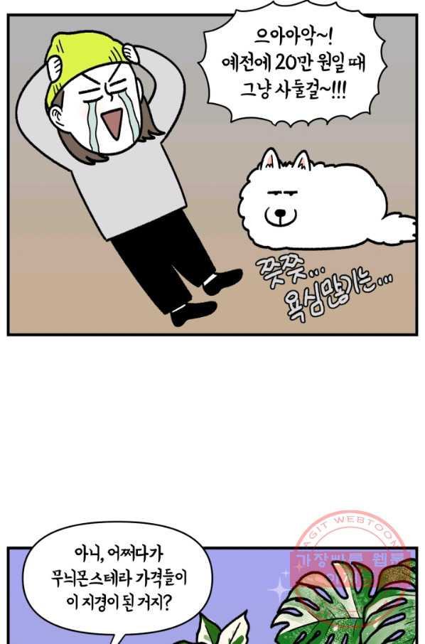 1629939560211.jpeg