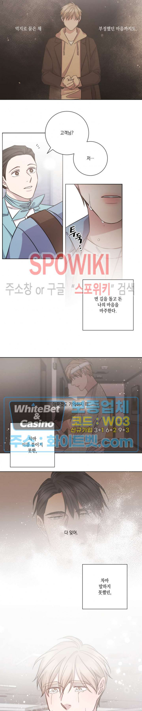 16305436970832527b5tdceq.jpg