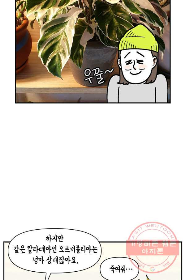 164200703221392s51oavptu.jpeg