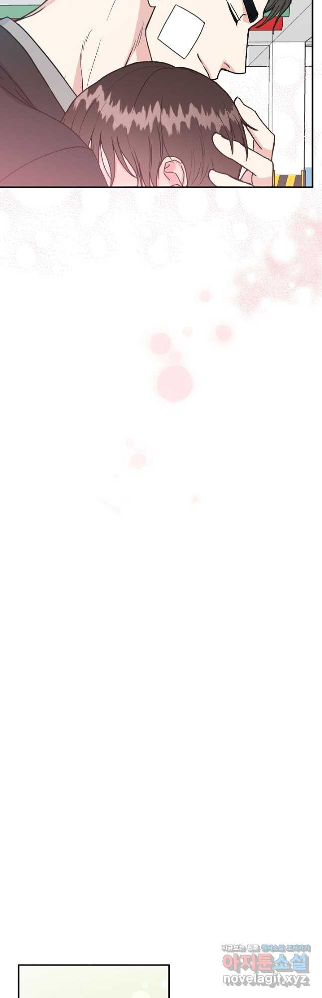 1666668537492w5389p6o4o.jpeg