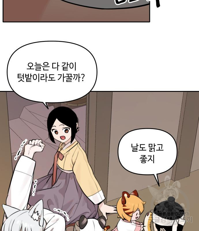 16678873057335plqulixims.jpeg