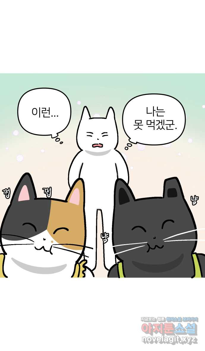 1670901523551pjt5e3xzh8.jpeg
