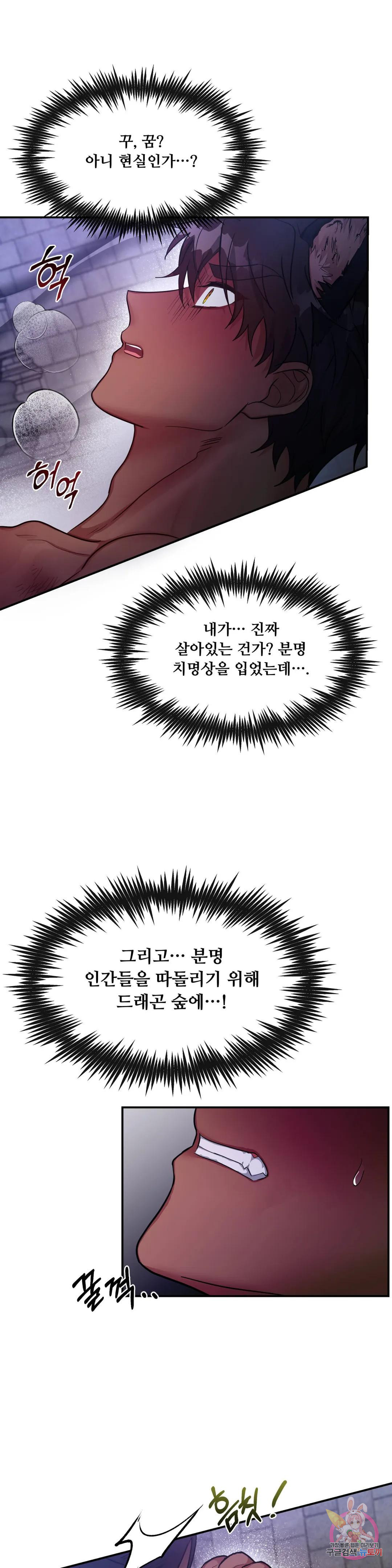 1670098864880i6i1df3dsg.jpeg
