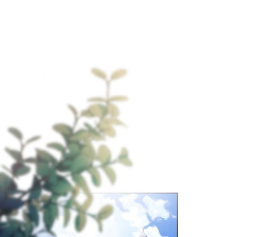 16500010342516ypasd38b4h.jpeg