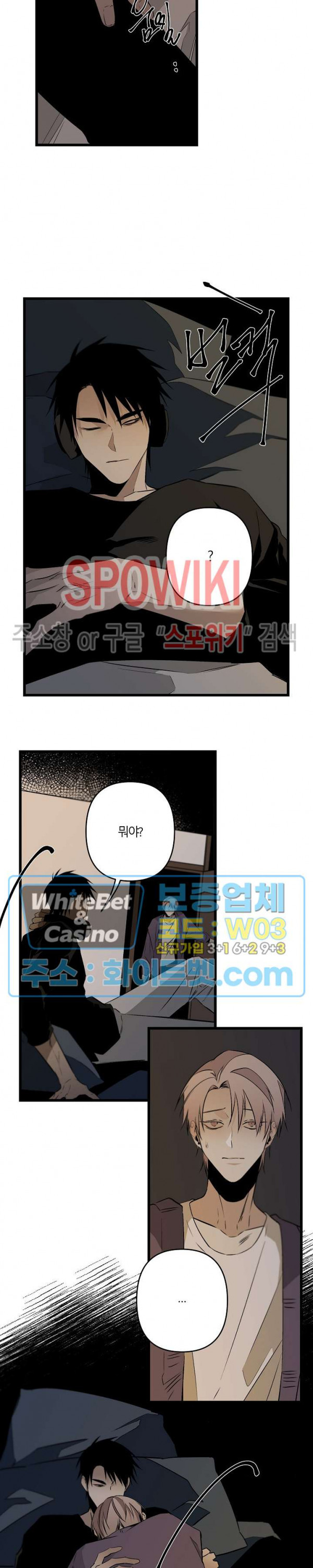 16511862642656pue82vwfhb.jpg