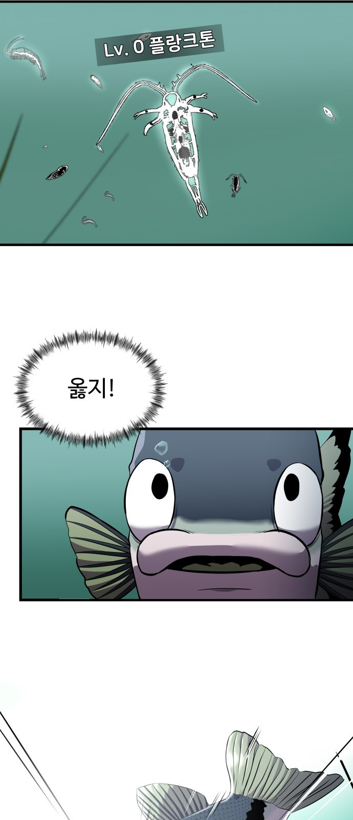 1652816601416rgup1c4j53.jpeg