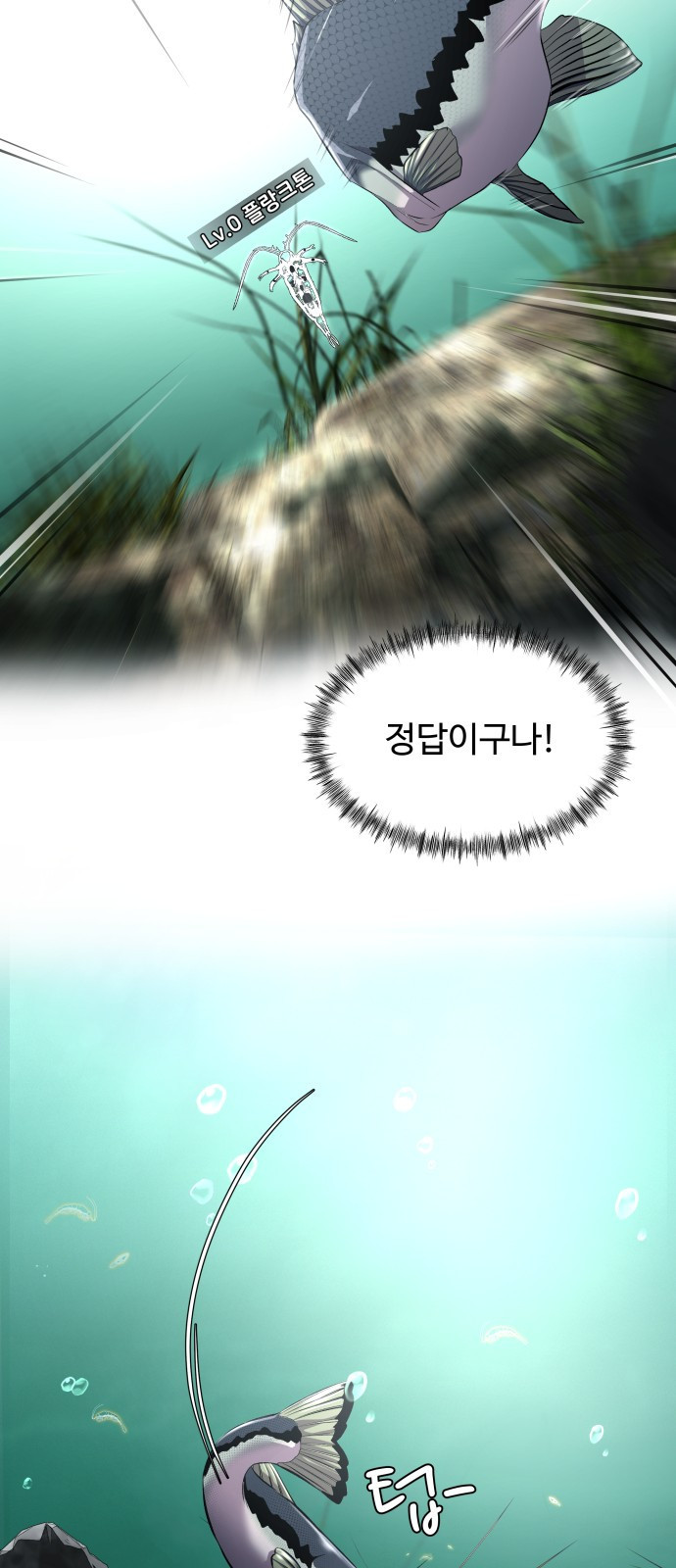 1652816601517w8kultu5xn.jpeg