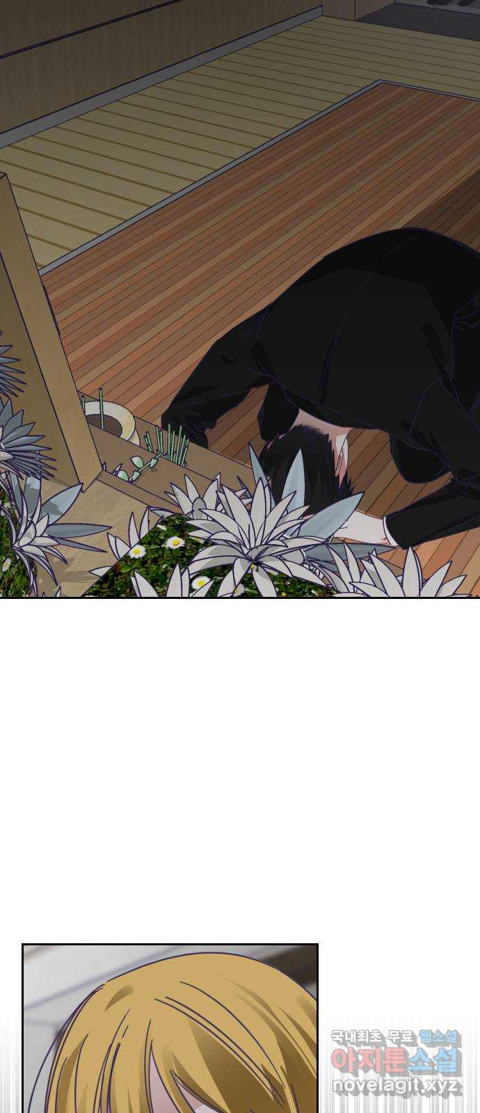 1652035600870y6jsta1k4q.jpeg