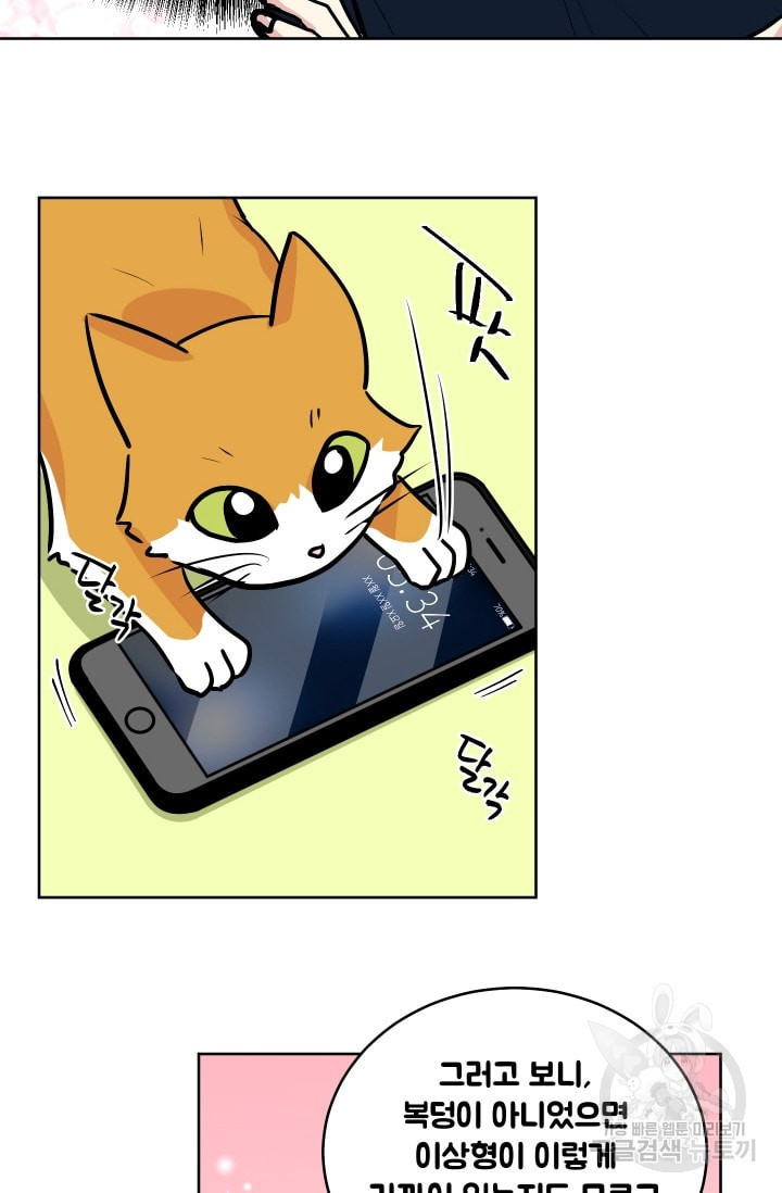 1655866812047loa8vkyn25.jpeg