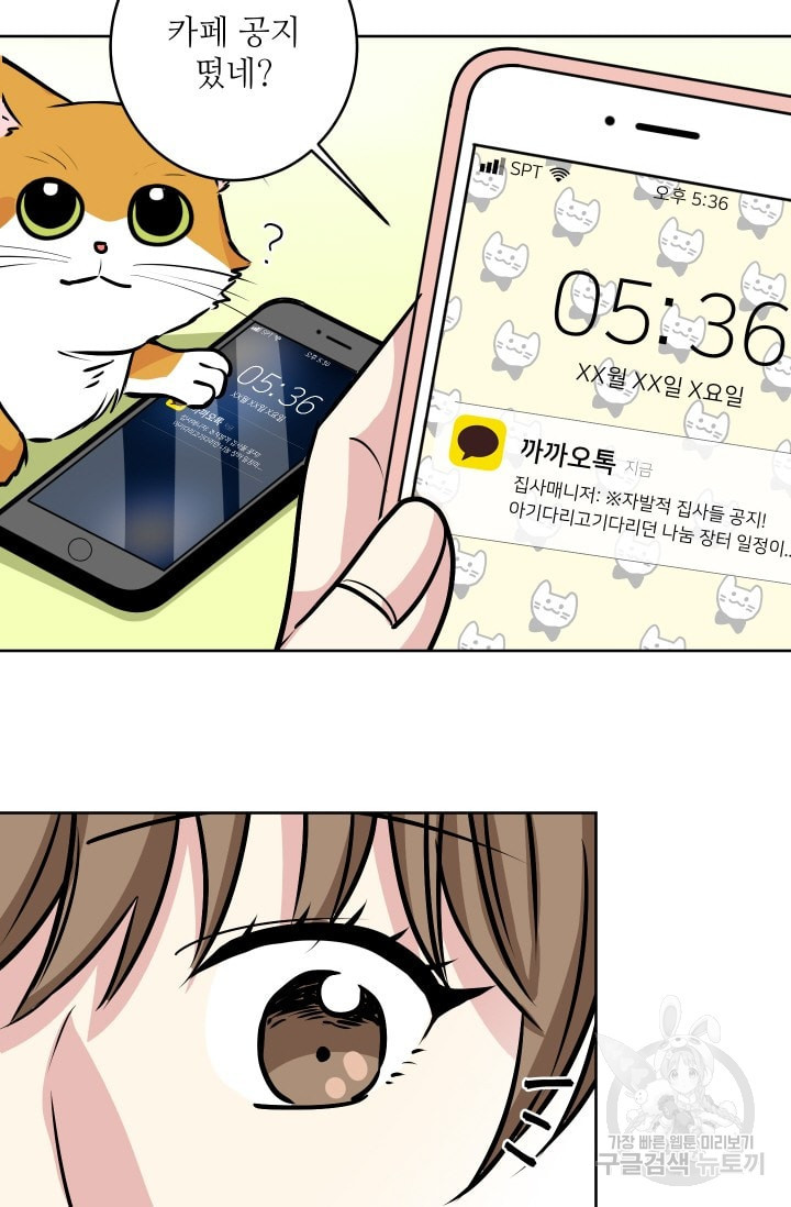 1655866812531fwsgs1ikrzq.jpeg