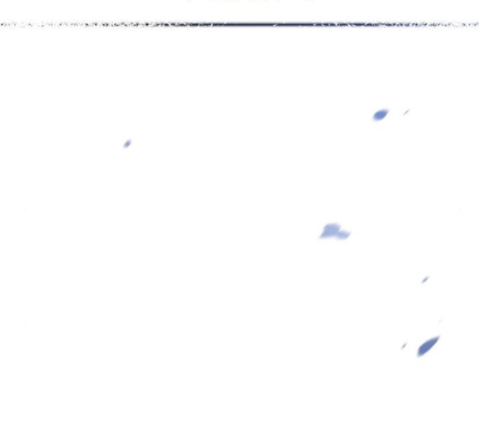 1656135175800sec8ed8lrh.jpeg