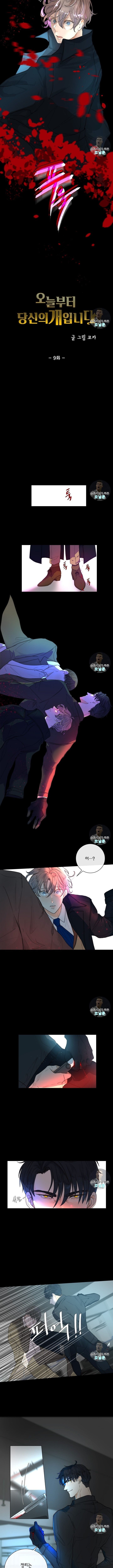 1654749021059crulmocj0xp.jpeg