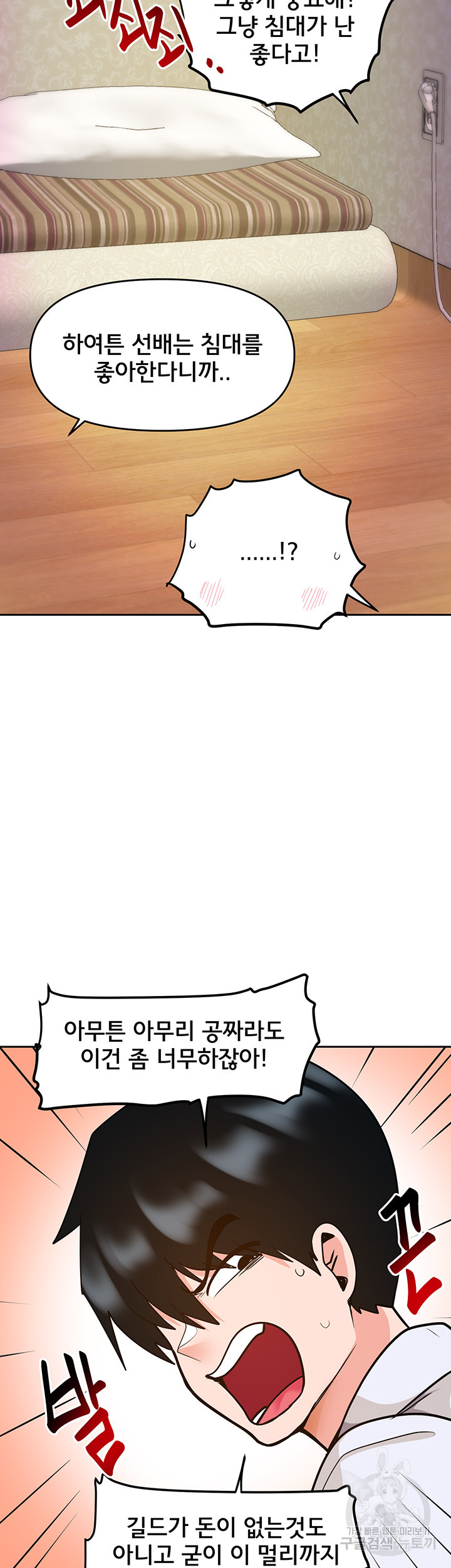 1673062351941agrxnpjnz1b.jpeg
