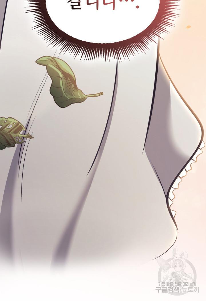 16981414332237isr9hmuj9c.jpg