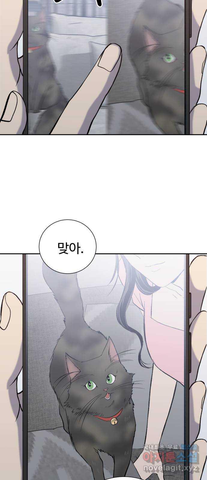 16993280565733dy8ojyy7as.jpg