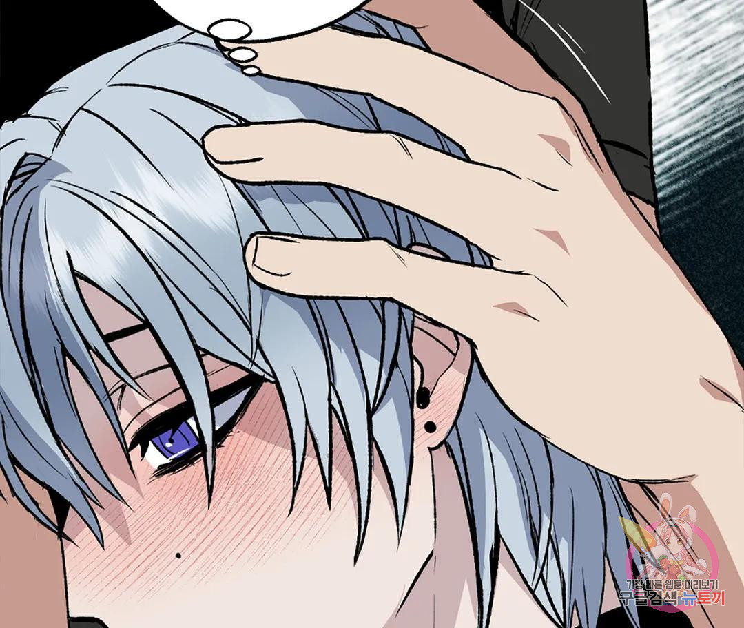 16769448229950cadodye2w8.jpeg