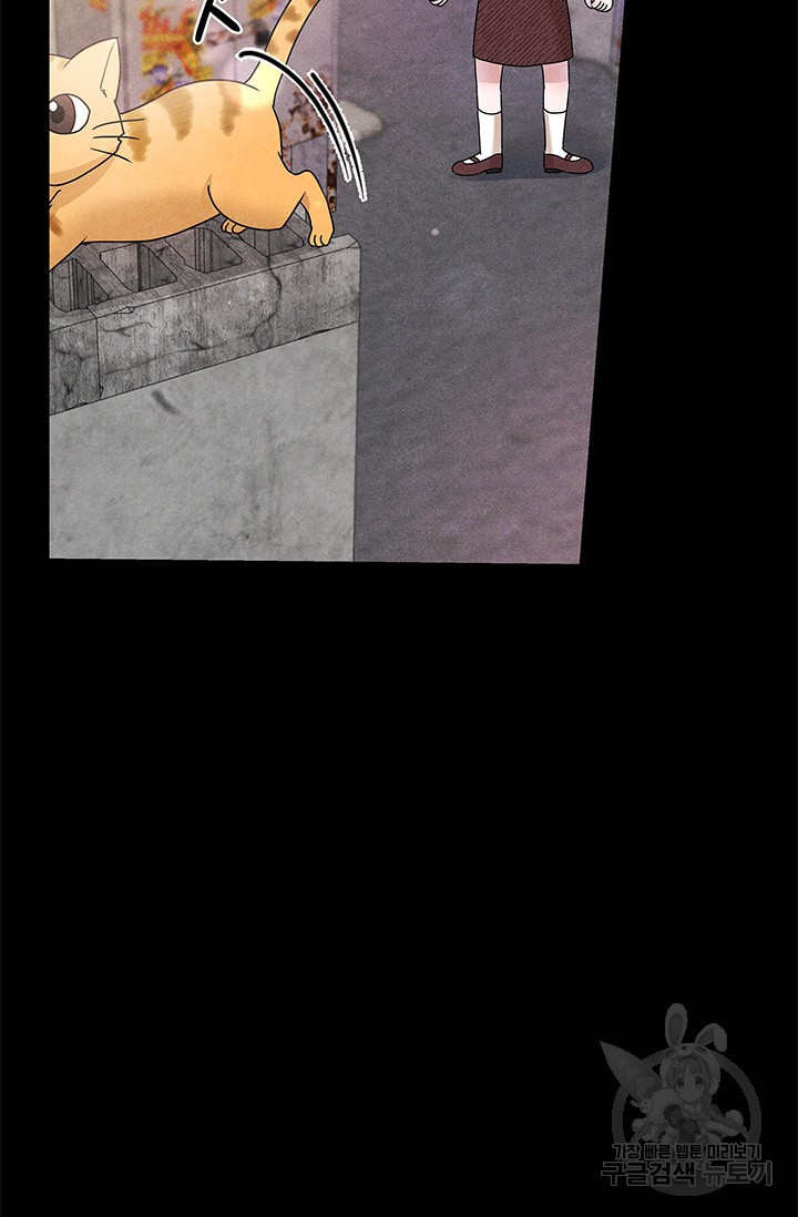 1675478895564d2bdfusbpv.jpeg