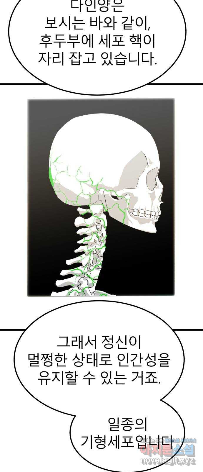 1675473396135pzwd5268bvi.jpeg