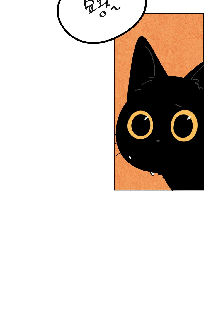 1679082087539luulyq1if1.jpeg