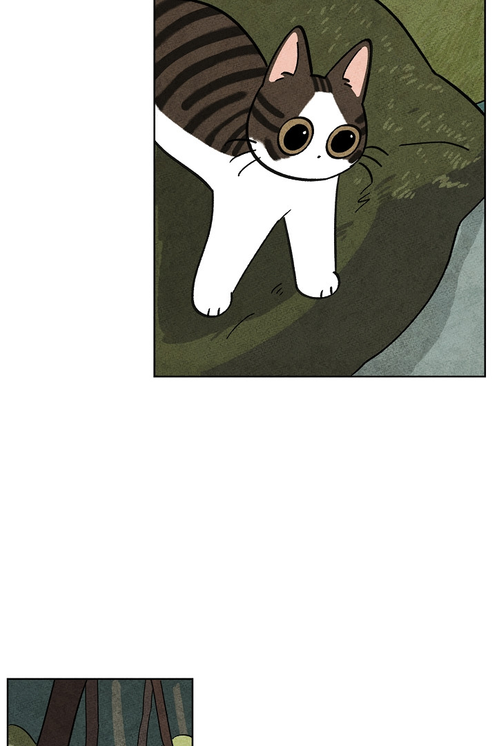 1679082089211a781mhroh4c.jpeg