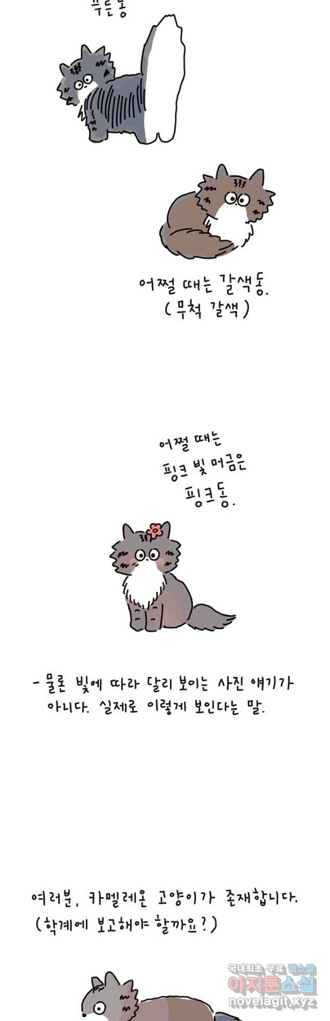 1681439816506qdvmxmc1fdj.jpeg