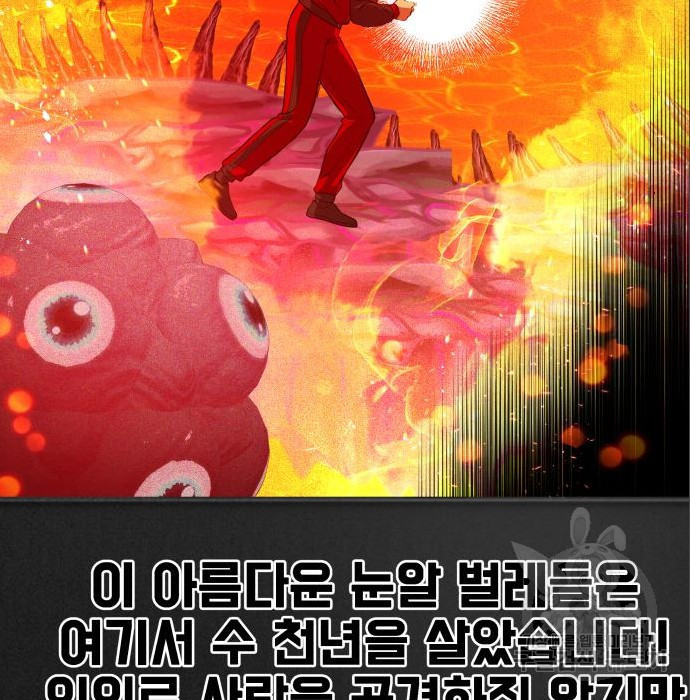 1682042918486l9wgafgzy5.jpeg