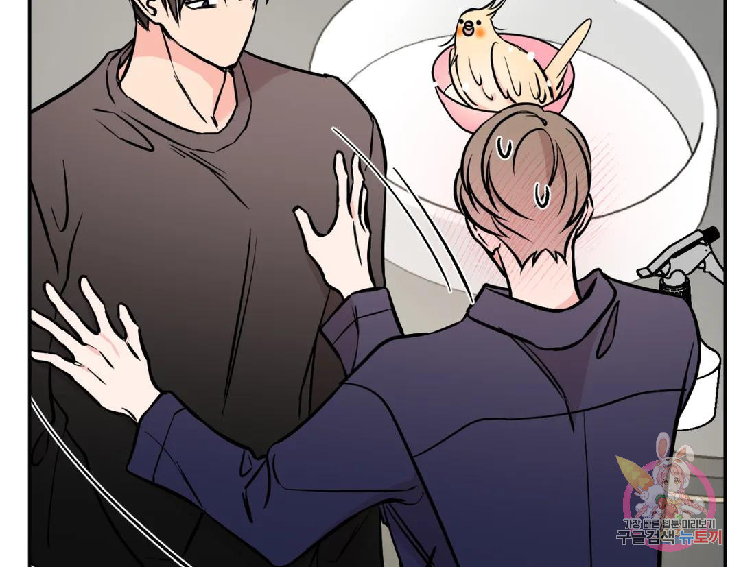 1684202122510ekship63yia.jpeg