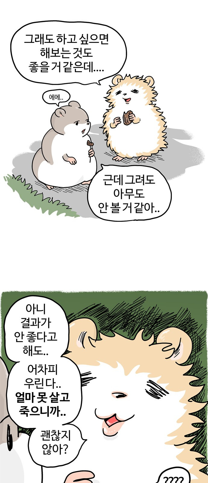 1705714160591bvxoq9tu57.jpg