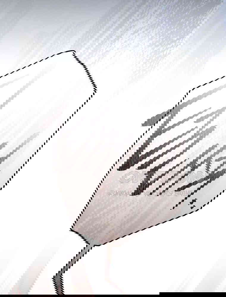 1729819763564rsxjoobmvdb.jpg