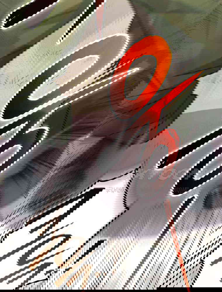 17298197746545frpeuu4p3w.jpg