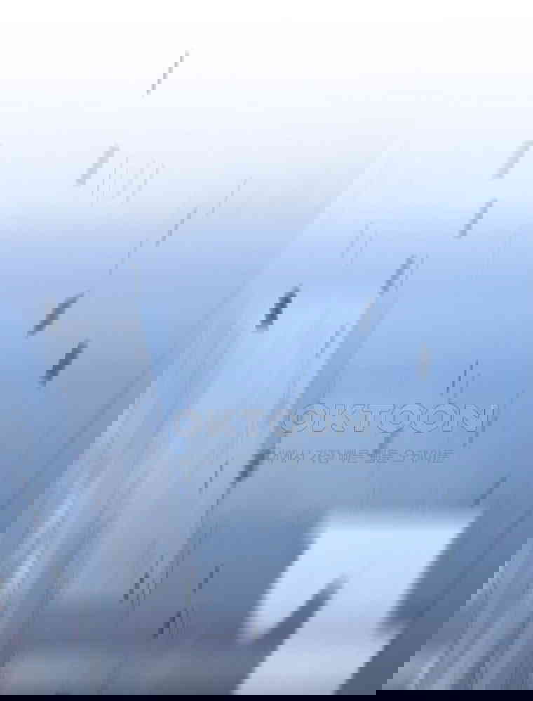 1729819785934y6yyj9t36o8.jpg