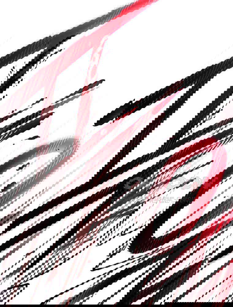 17298197870140v9e7e8z2sr.jpg