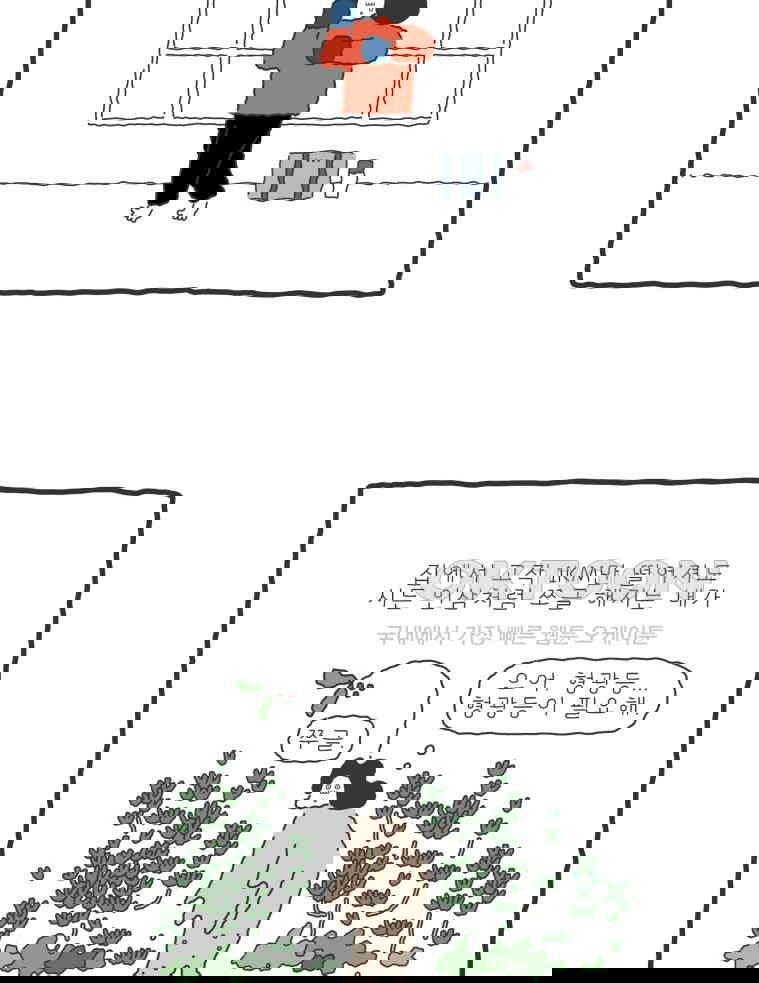 173012018693868c703ylg1d.jpg