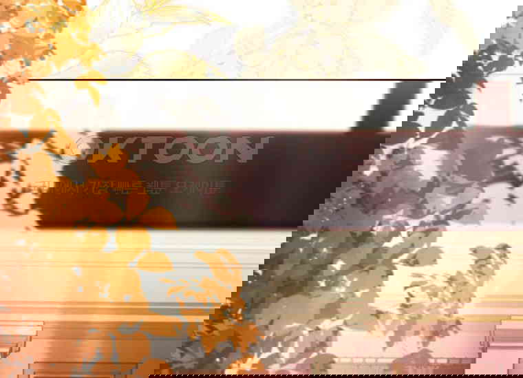 173015337463661wusklwrxa.jpg