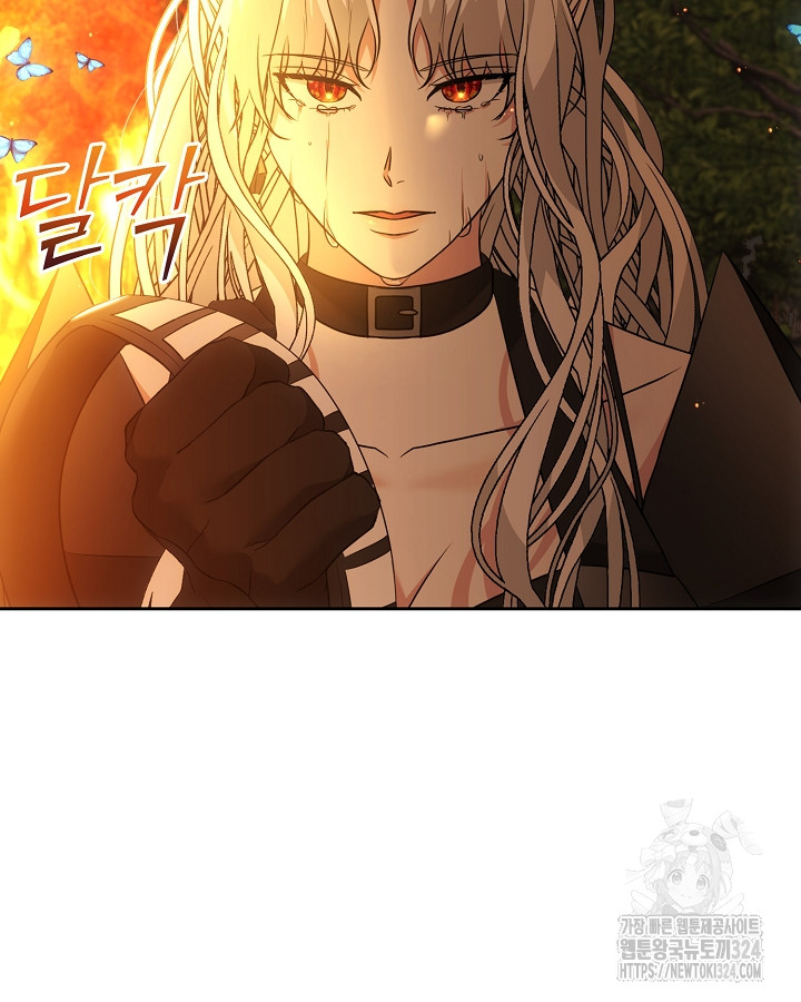 170830451352520nuuawb25o.jpg