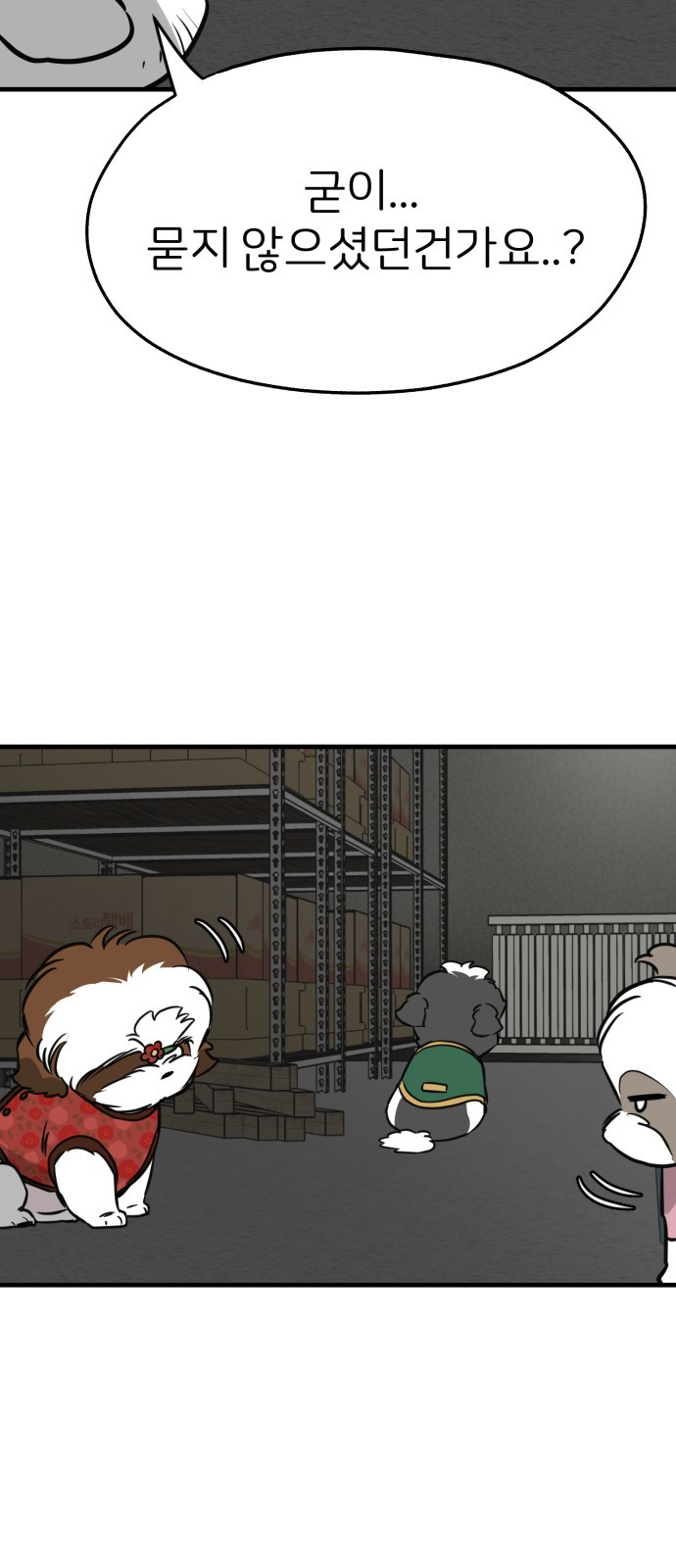 17088770145853jbdb81zydk.jpg