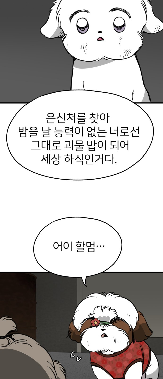 17088770161499m68l0m9nap.jpg
