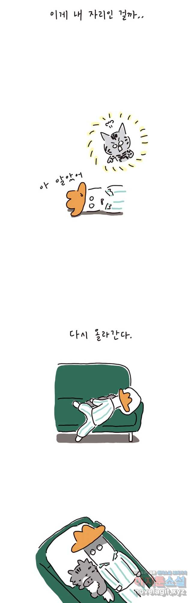 17122807509584936bbdksi3.jpg