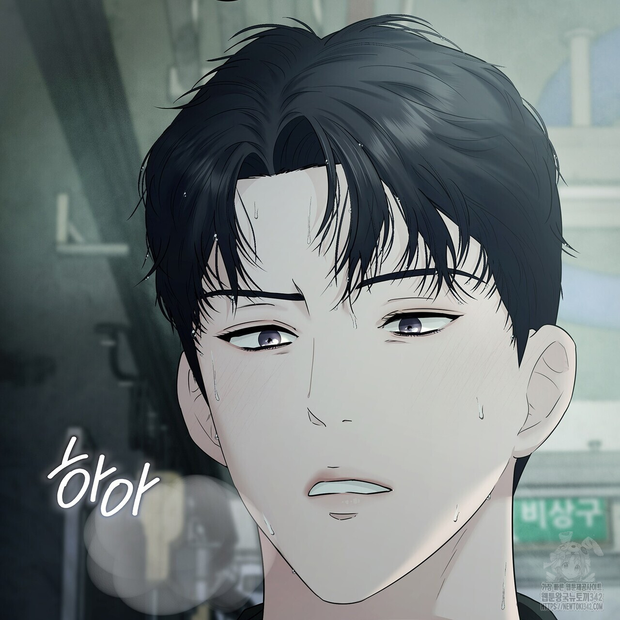 17189036870948fmcb3azujr.jpg
