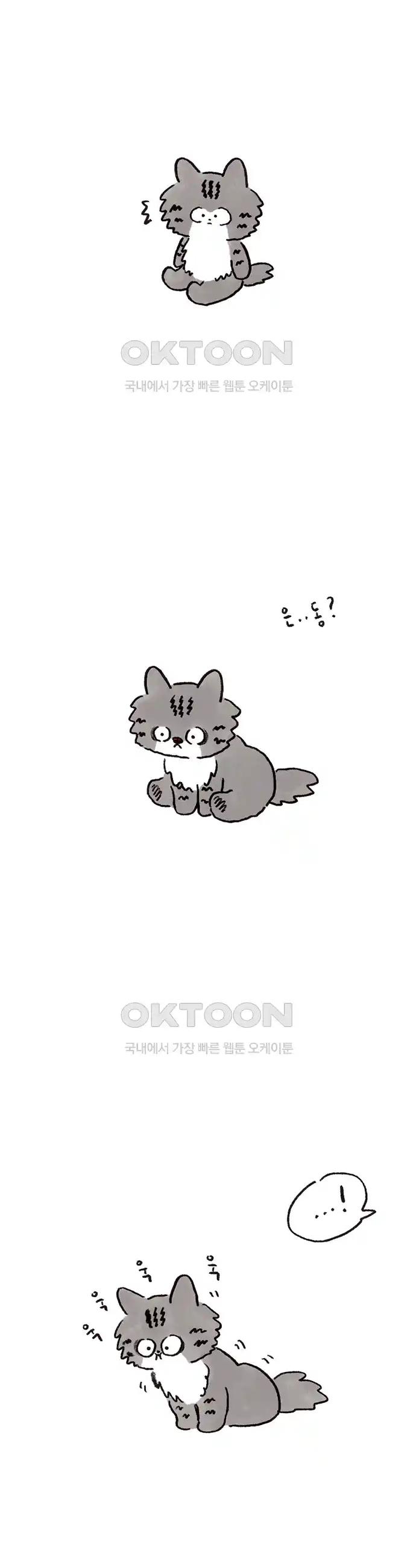 17189088149587xs7hey1obl.jpg