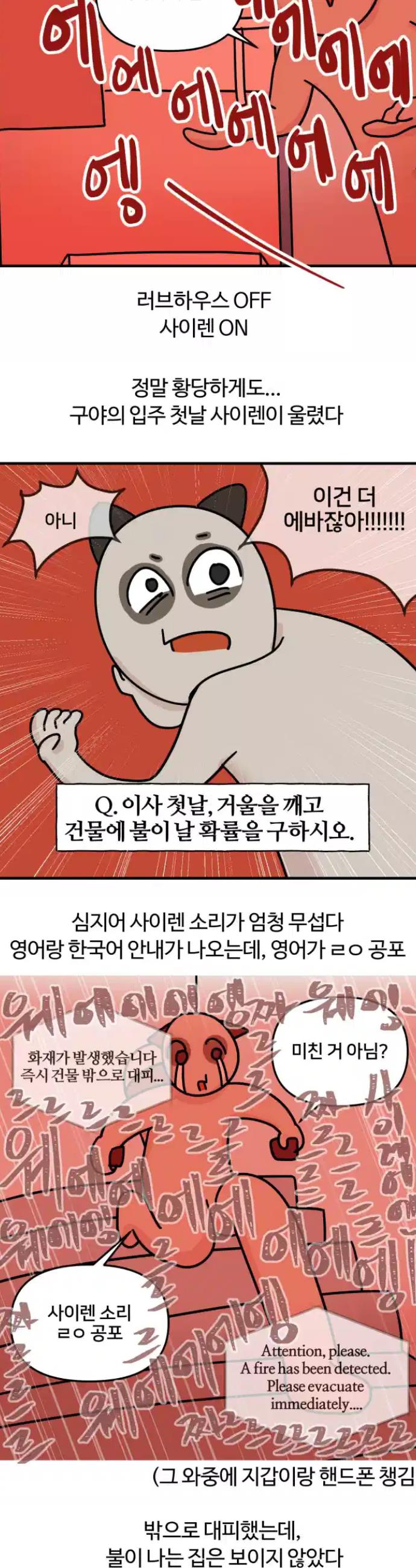 17222391512751chu1frzf29.jpg