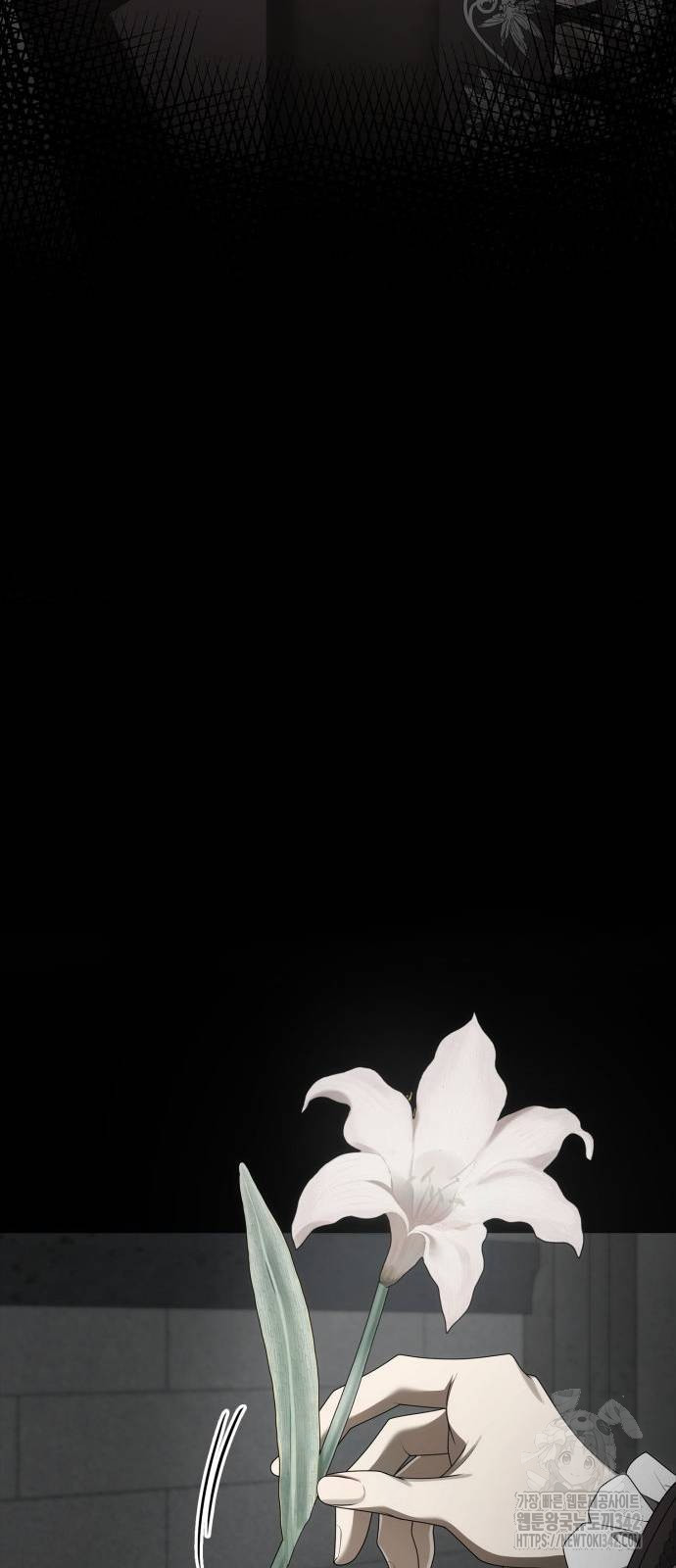 1720109794917yq9o5i980yp.jpg