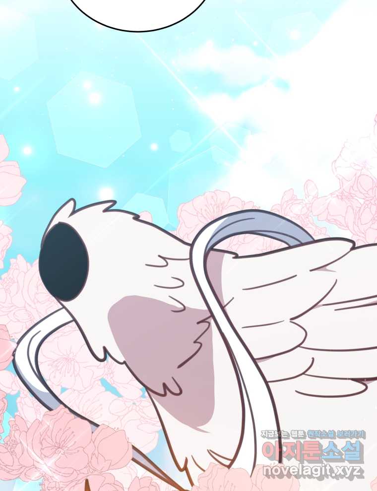 17201985523152l4lddnxa2u.jpg