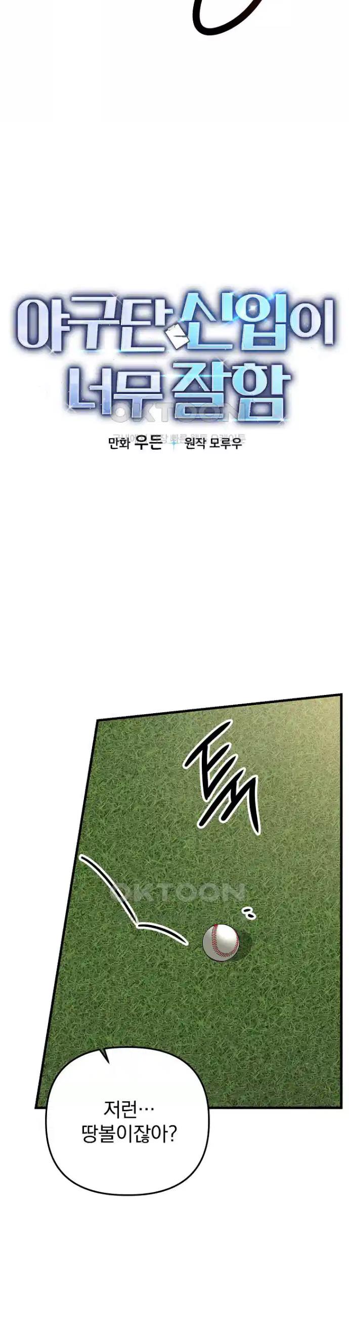 17244636312643036d76mbov.jpg