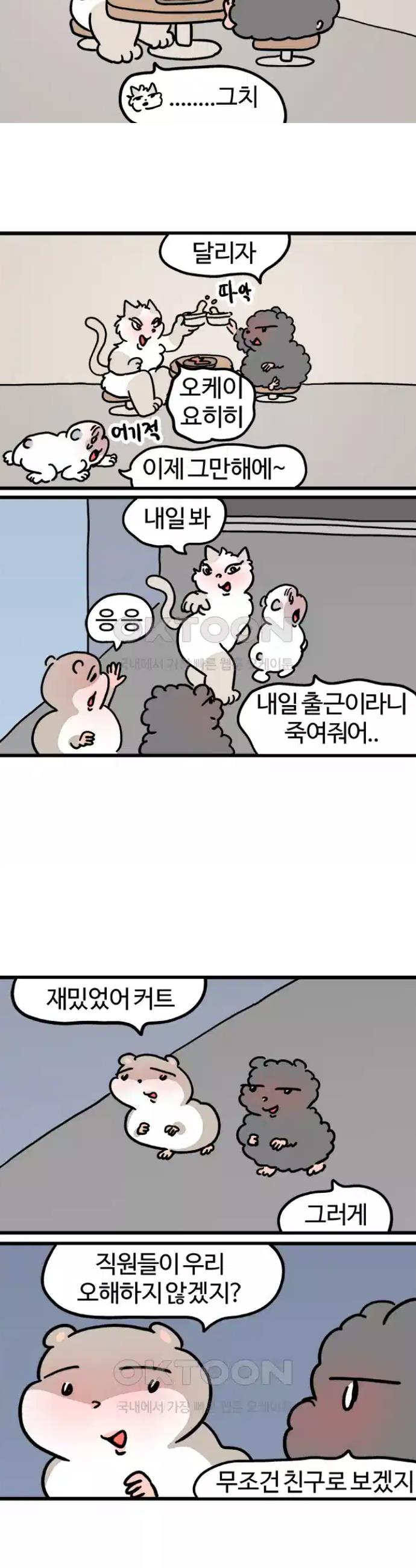 1722635148254rzbi0fbkk.jpg
